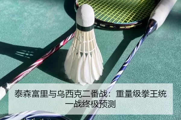 泰森富里与乌西克二番战：重量级拳王统一战终极预测