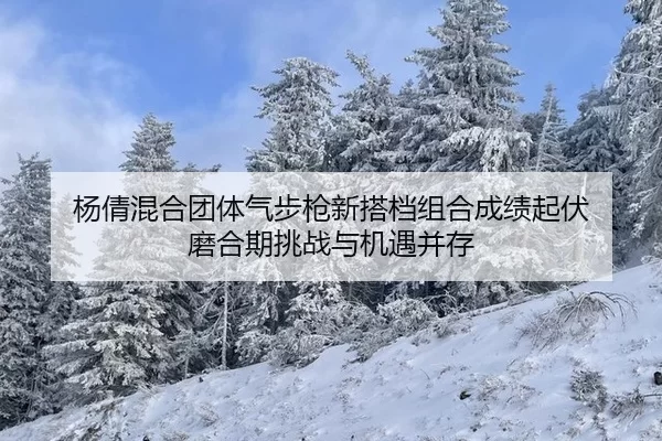 yang-qian-hun-he-tuan-ti-qi-bu-qiang-xin-da-dang-zu-he-cheng-ji-qi-fu-mo-he-qi-tiao-zhan-yu-ji-yu-bing-cun-2-440.jpg