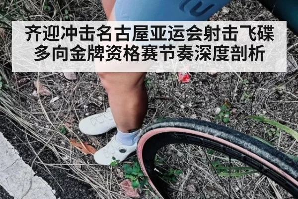齐迎冲击名古屋亚运会射击飞碟多向金牌资格赛节奏深度剖析